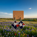 Texas earrings